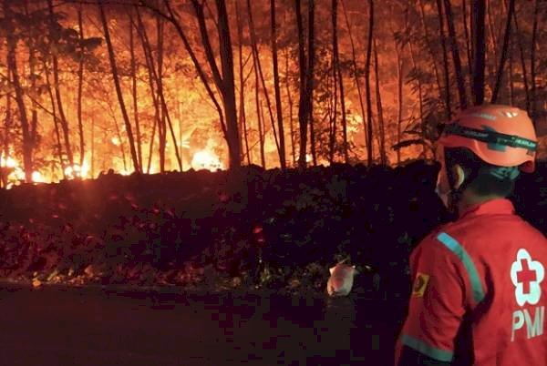 Kebakaran di Gunung Putri Bogor Sudah 24 Jam, Petugas: Masih Pendinginan